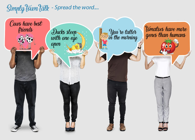 simi valley local fun newspaper july latest news local businesses town talk cafe news free paper